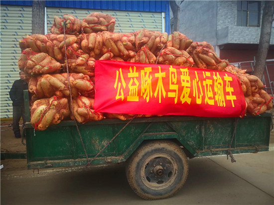 ＂愛心蘿卜＂來了！