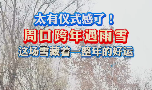 太有儀式感了！周口跨年遇雨雪 這場(chǎng)雪藏著一整年的好運(yùn)