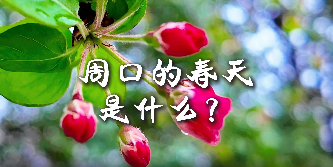 周口的春天，待你慢慢遇見